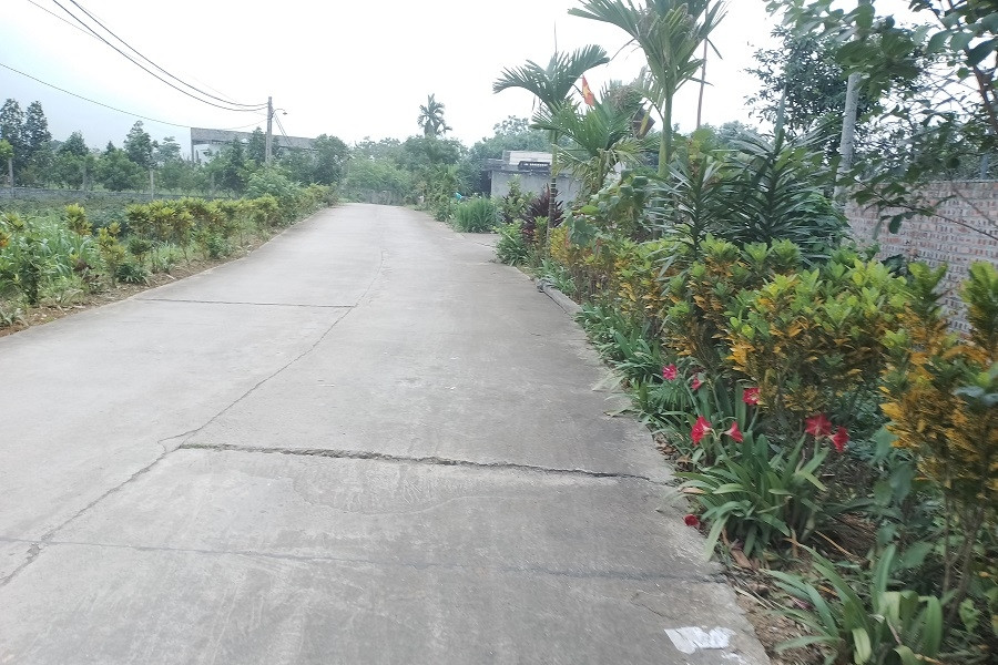 Kiểm tra kết quả xây dựng nông thôn mới nâng cao ở xã An Ngãi Trung (Vĩnh Long)