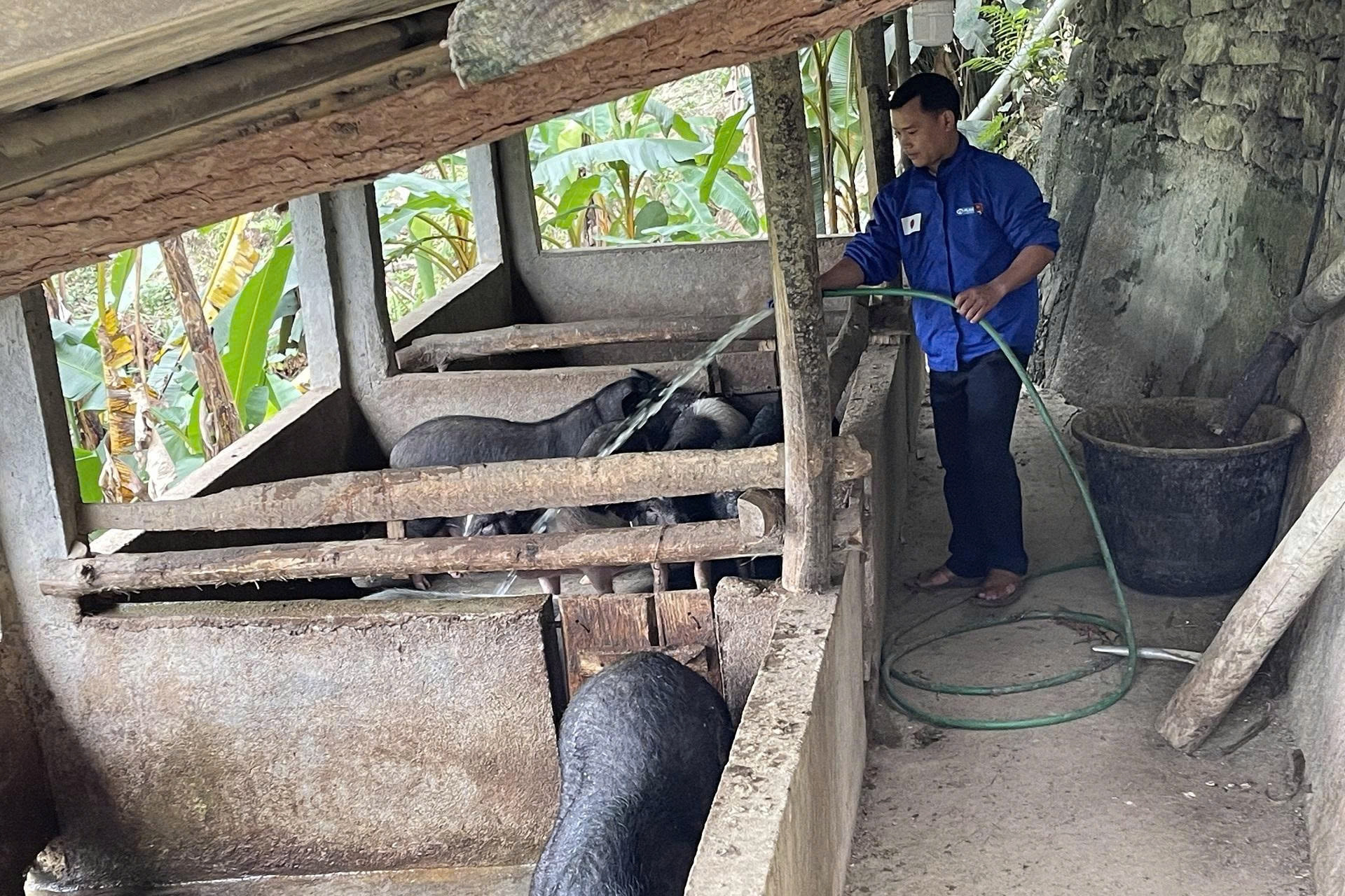 Phong trào nông dân sản xuất, kinh doanh giỏi góp phần xây dựng nông thôn mới