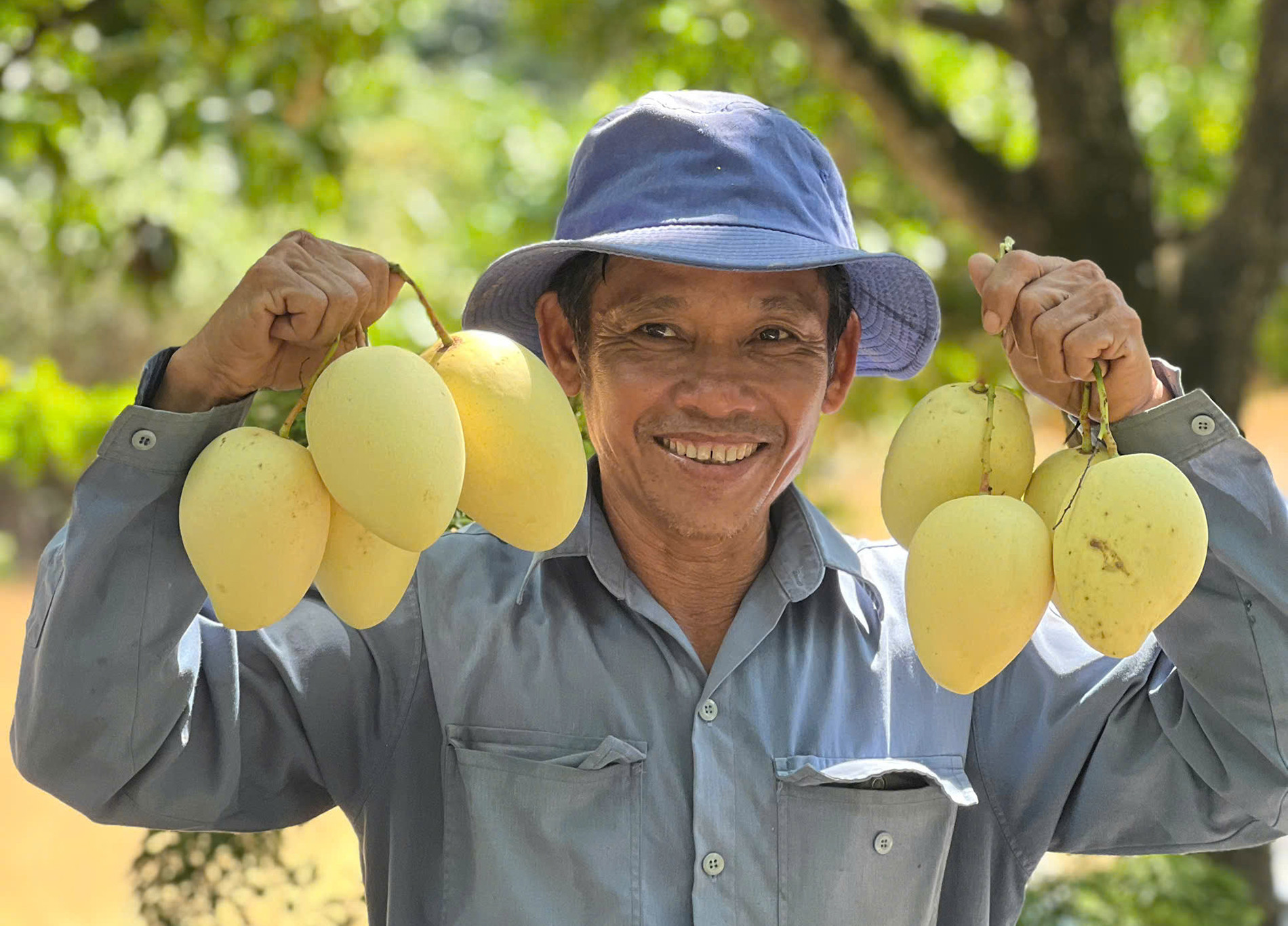 Nông nghiệp sinh thái - nền tảng vững chức cho phát triển Đồng Tháp mới