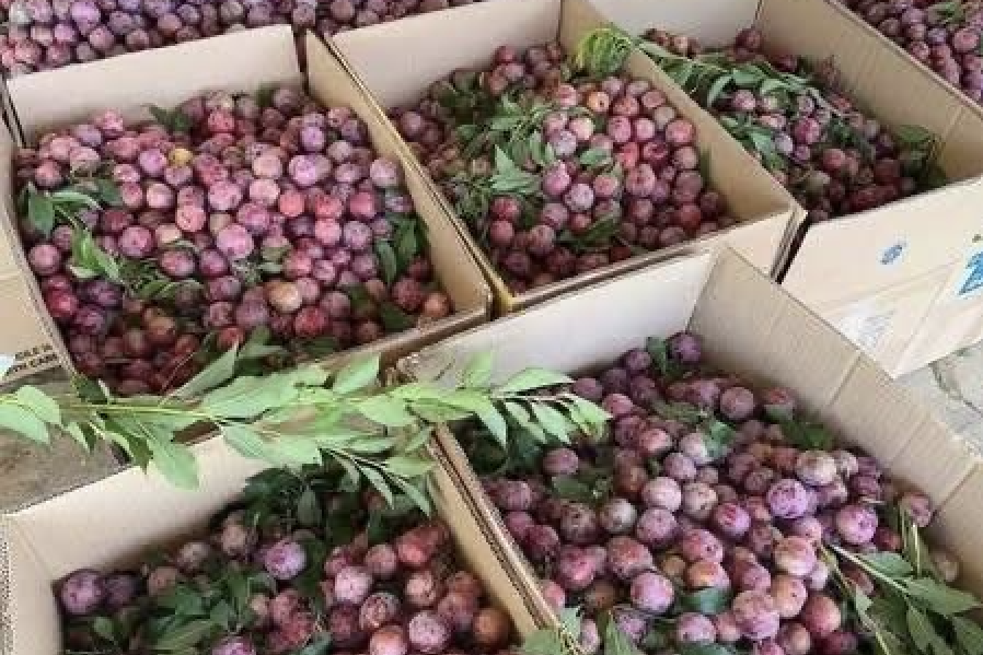 Thương vụ - những đại sứ kinh tế của Việt Nam ở ngoài nước