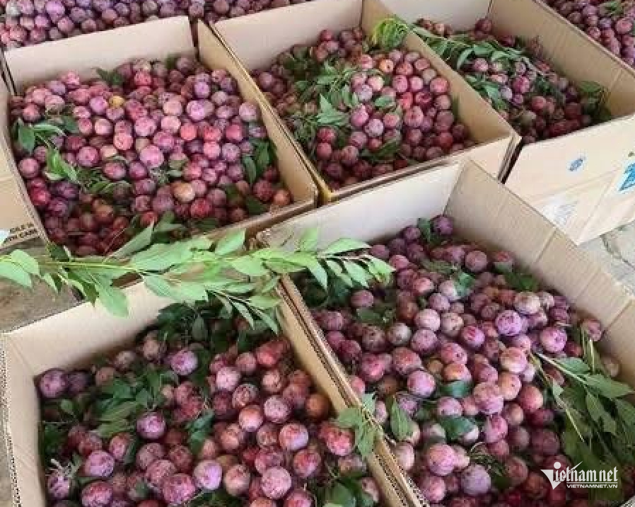 W-nông sản Việt Nam!.png