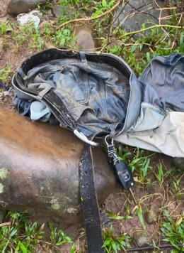 b25f4b84 9c17 445c 98d0 99be7ae8b4fd.jpg