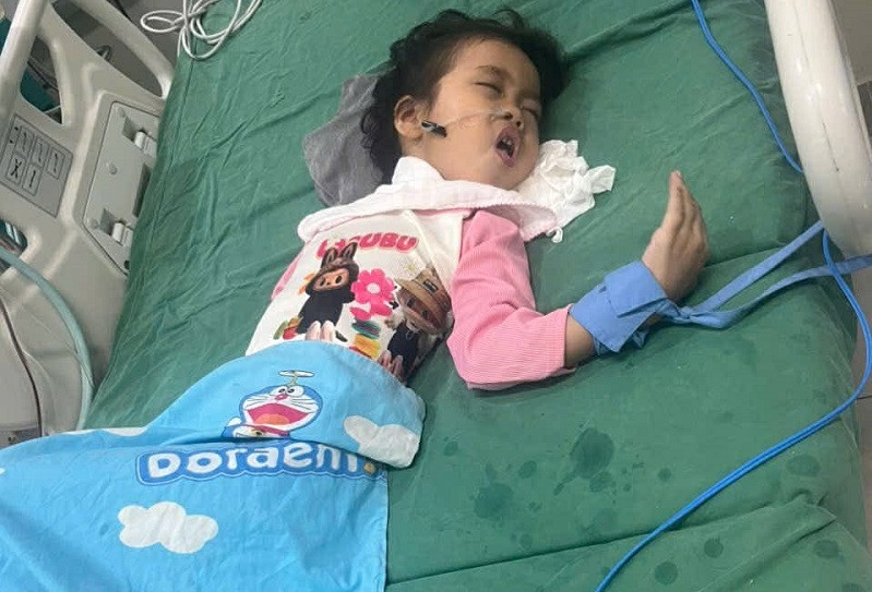 c219ca8b 55f0 4247 9365 8c0a412e912c.jpg