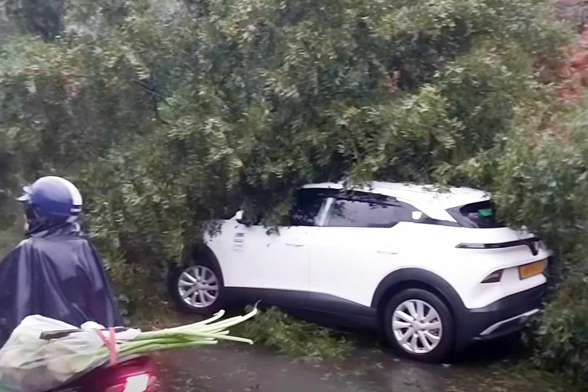 Đèo Mimosa sạt lở, cây đổ trúng ô tô 5 chỗ