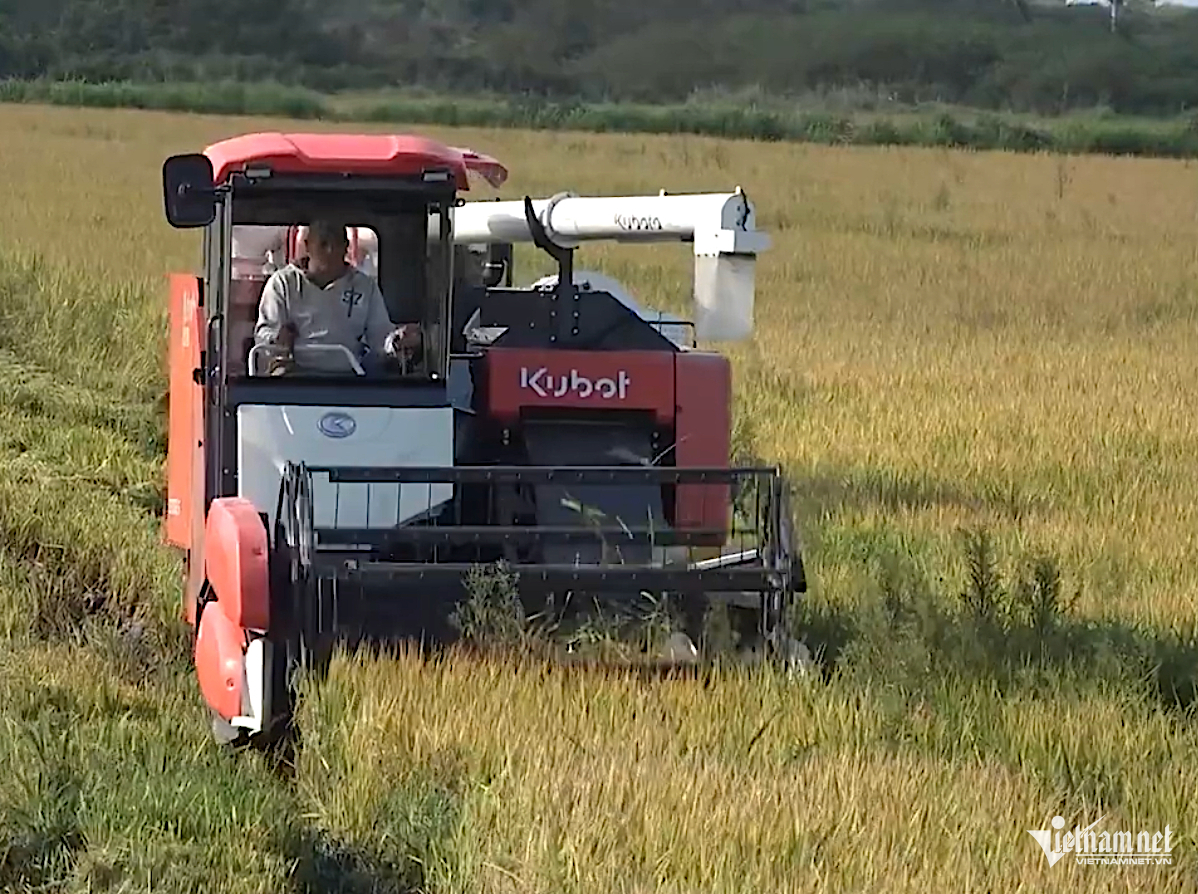 W-Cơ giới hoá sản xuất.png