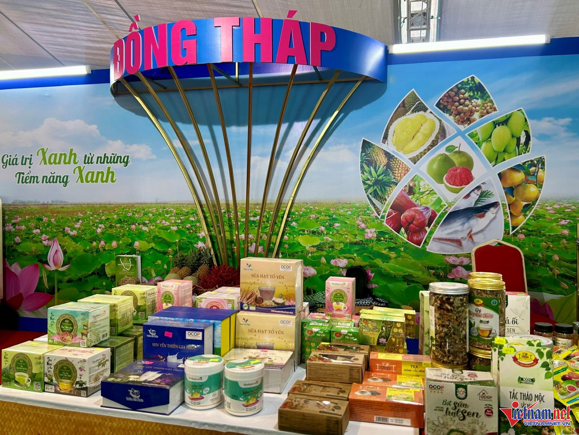 W-Đồng Tháp.jpg