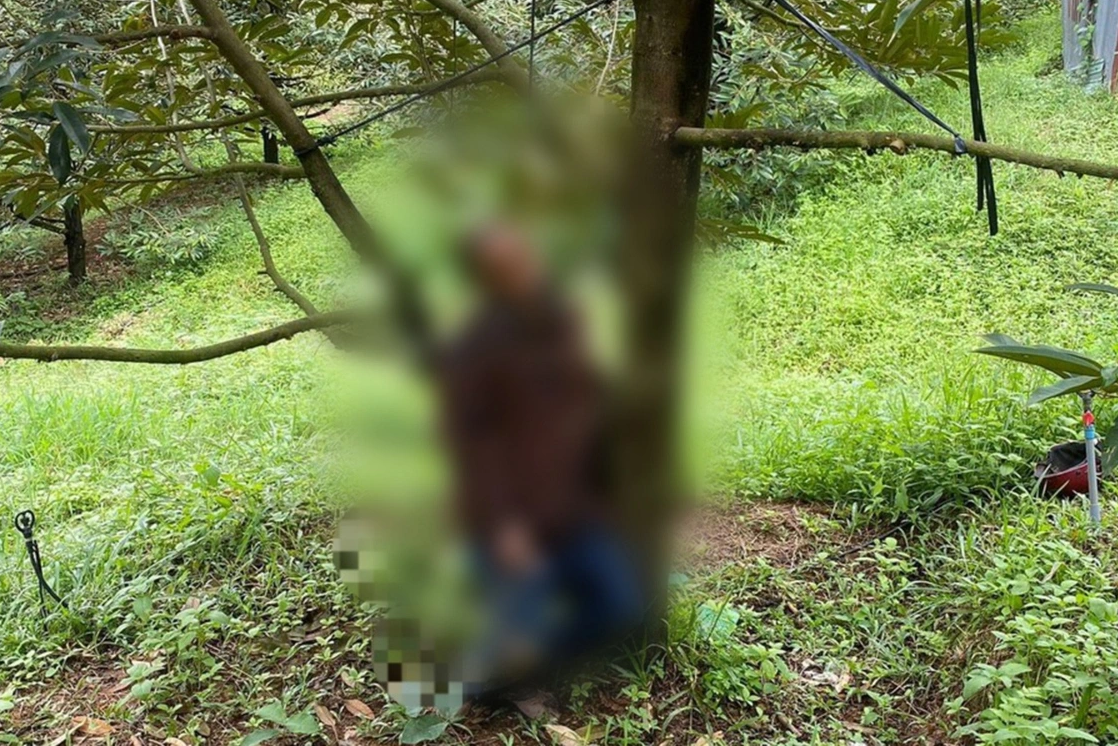 Bản tin trưa 2/11: Nghi án con chém cha tử vong rồi treo cổ trong vườn sầu riêng