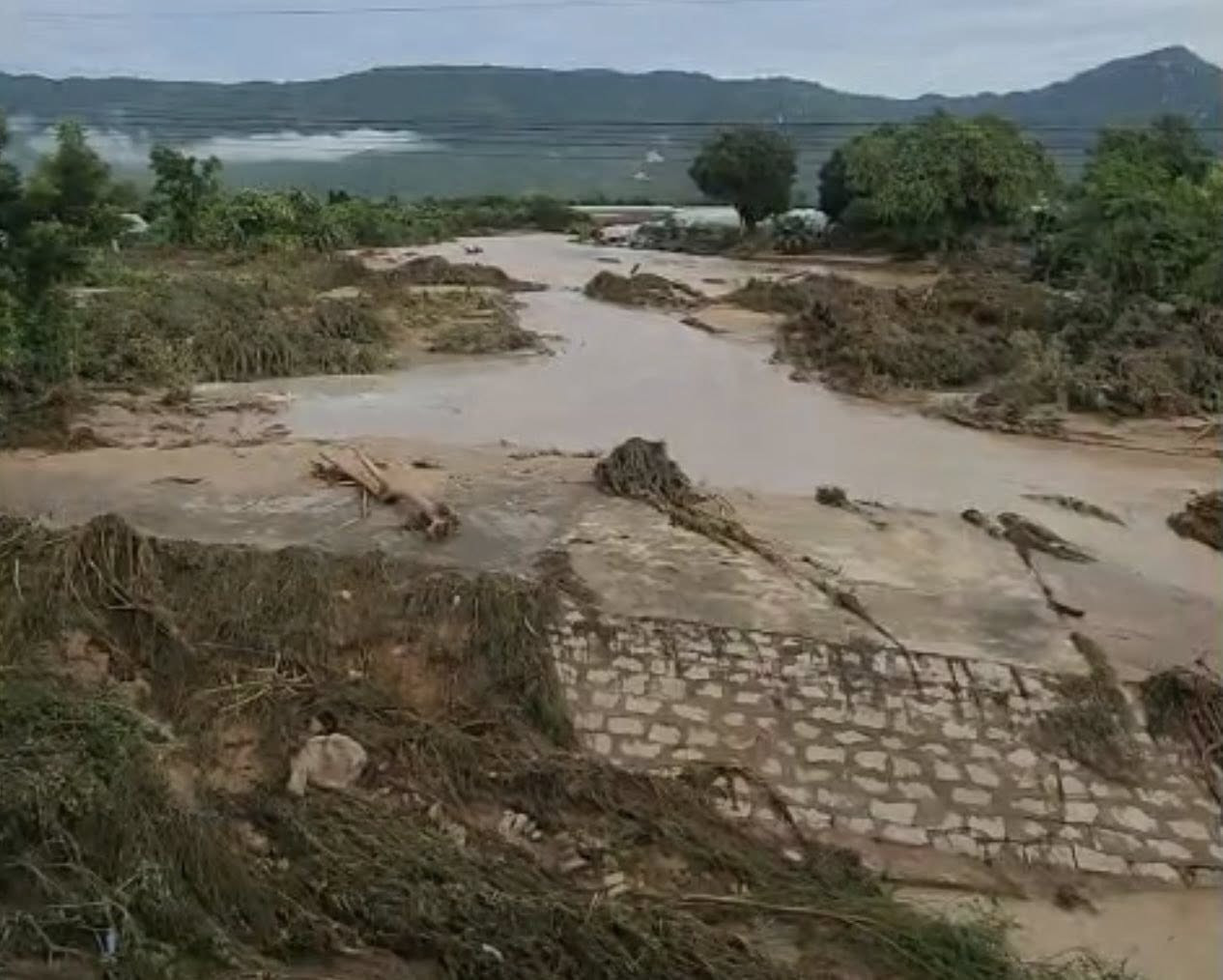 574844130_1141243958178555_8980334413091848963_n (1).jpg