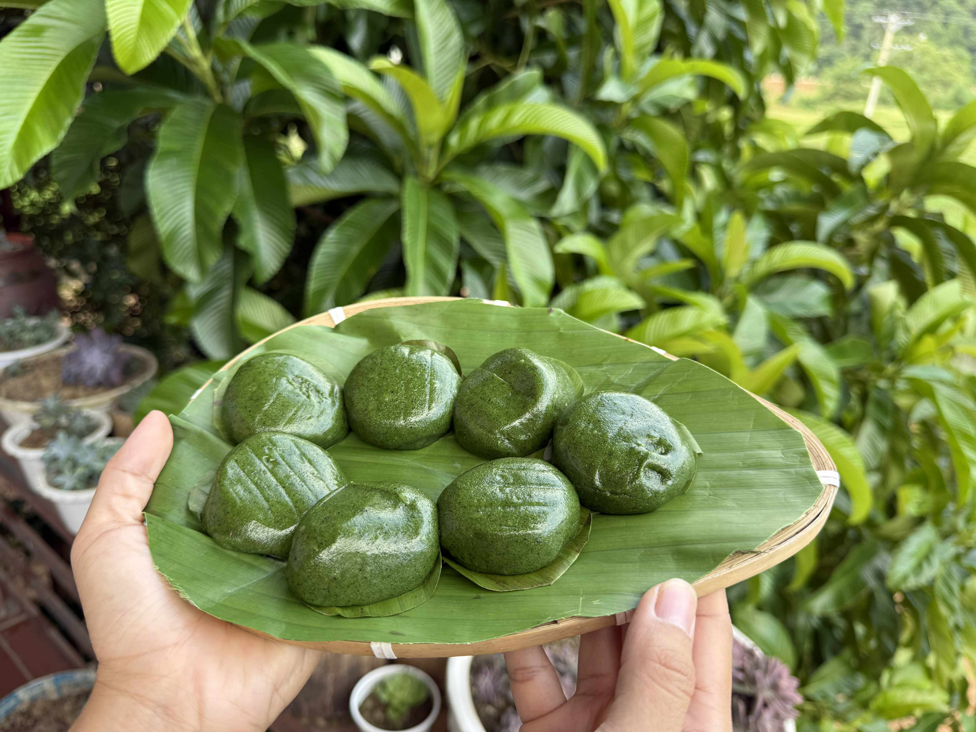 bánh ngải Thái Nguyên