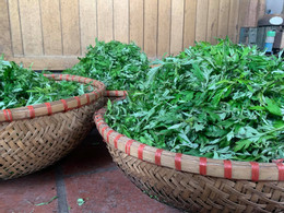 bánh ngải trang ha du 0.jpg