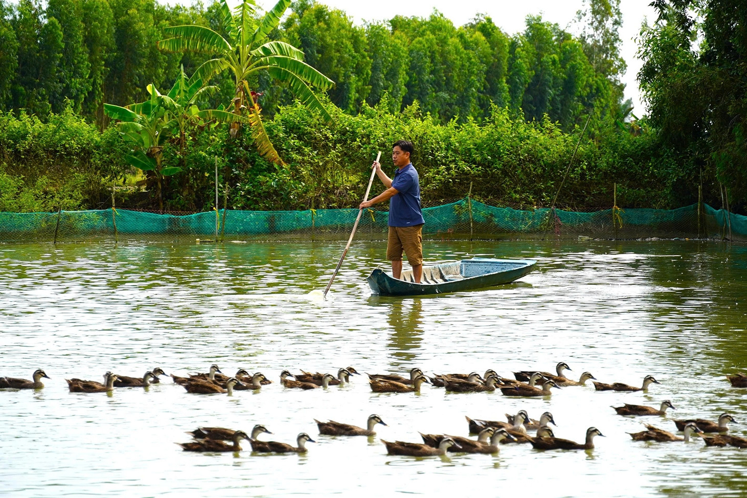 Bí mật trang trại 4.000m2 giúp lão nông Cần Thơ kiếm trăm triệu đồng mỗi năm