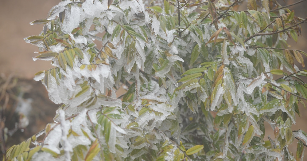 Dự báo thời tiết 21/11/2025: Miền Bắc có thể xuất hiện sương muối, Nam Trung Bộ còn mưa