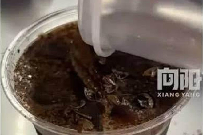 Cà phê rắc bột gián bất ngờ gây sốt, giới trẻ tò mò uống thử