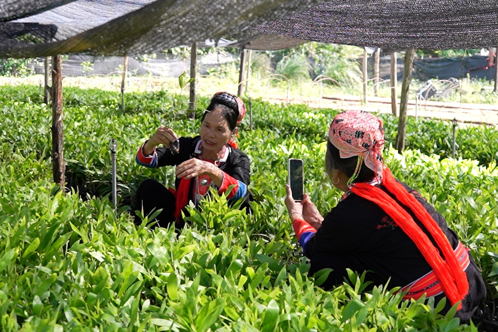 Chuyển đổi số: Câu chuyện lan tỏa tới từng ngõ xóm, thôn bản