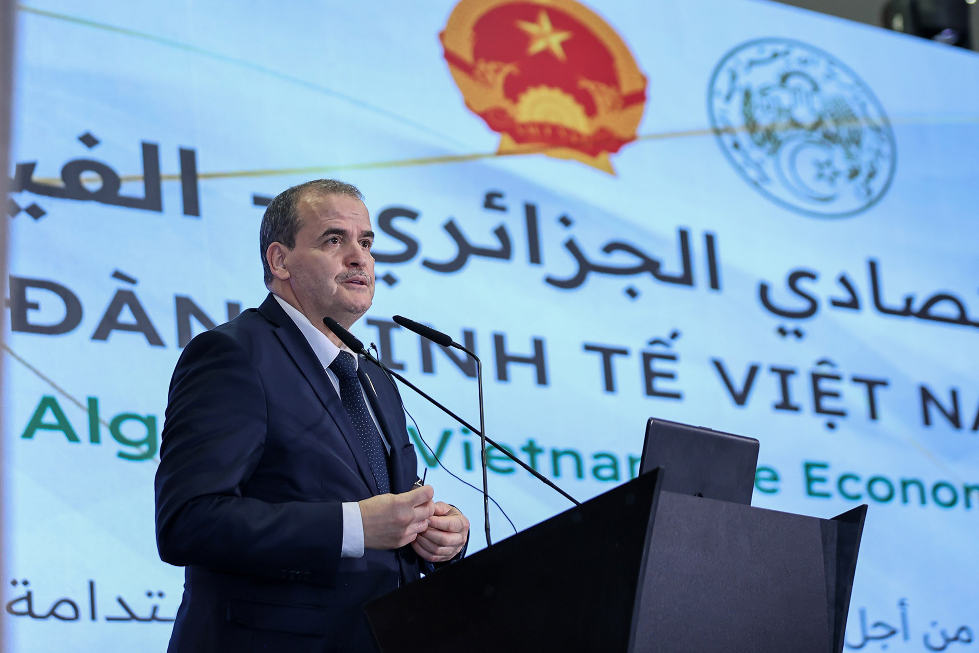 img5481 17635734031741140155212.jpg