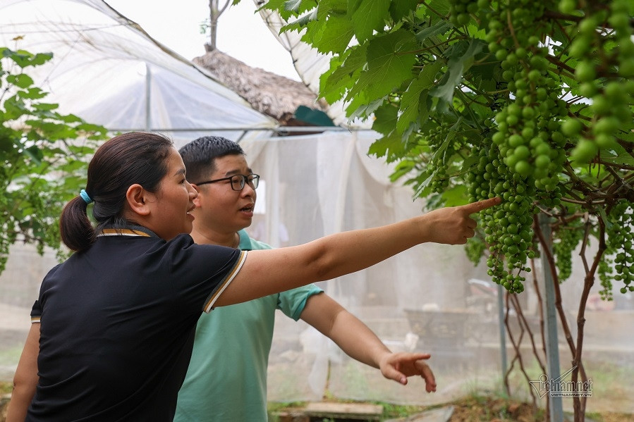 Phát huy sức mạnh truyền thông trong xây dựng nông thôn mới ở Cà Mau