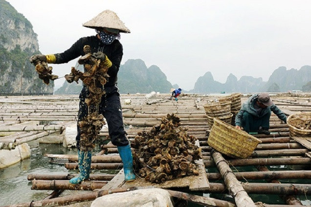 Quảng Ninh 2021-2025: Mọi người dân đều được hưởng thành quả tăng trưởng