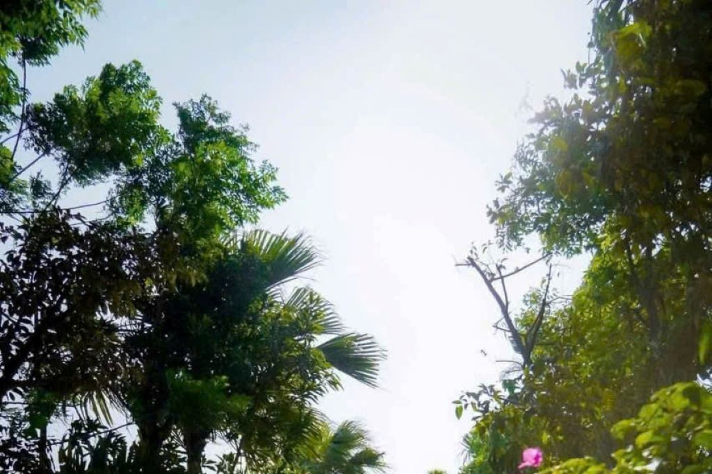 Quảng Ninh: Nhiều giải pháp đột phá trong xây dựng nông thôn mới