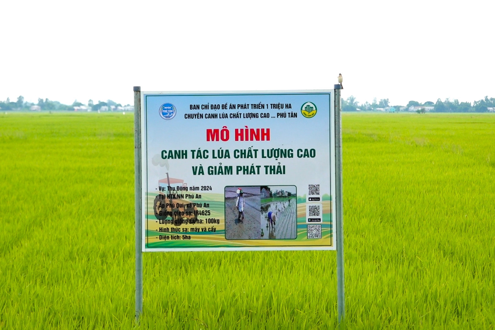 Số hóa nông nghiệp: Bước đệm cho tương lai bền vững và vươn xa