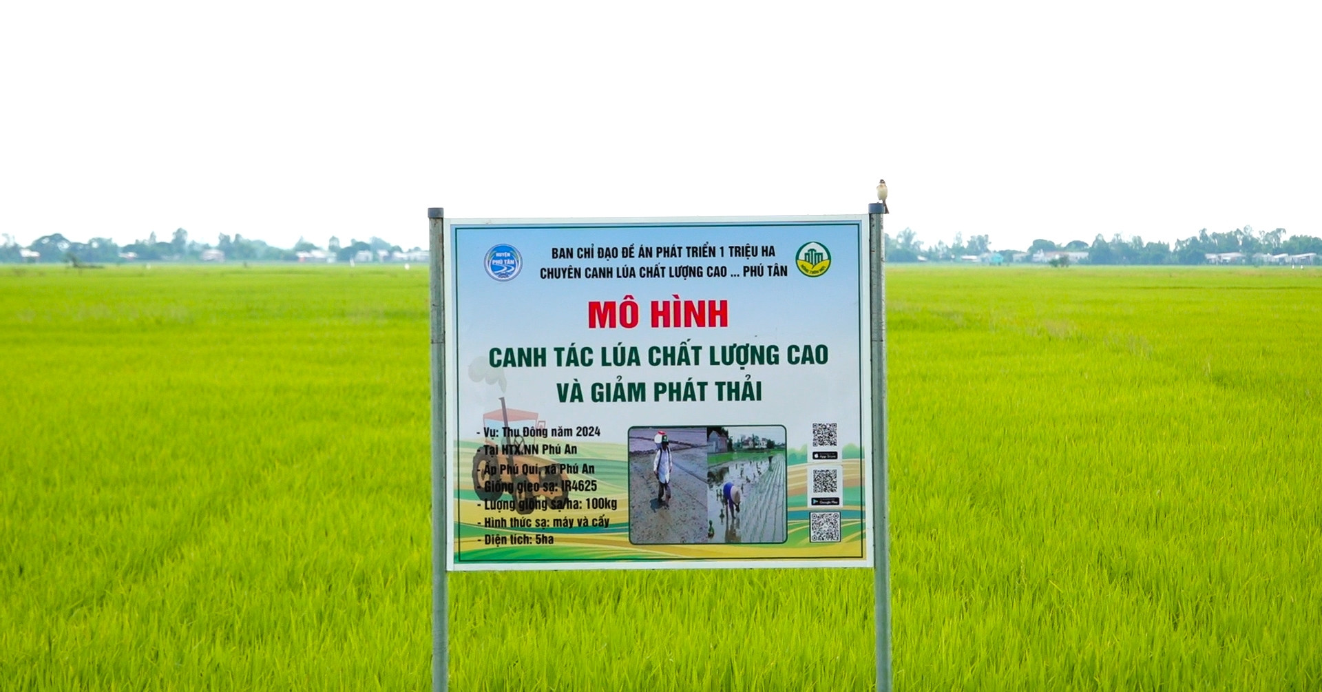 Số hóa nông nghiệp: Bước đệm cho tương lai bền vững và vươn xa