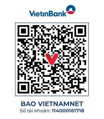 https://static-images.vnncdn.net/vps_images_publish/000001/000003/2025/11/20/vietinbank-tran-thi-le-4203.jpg
