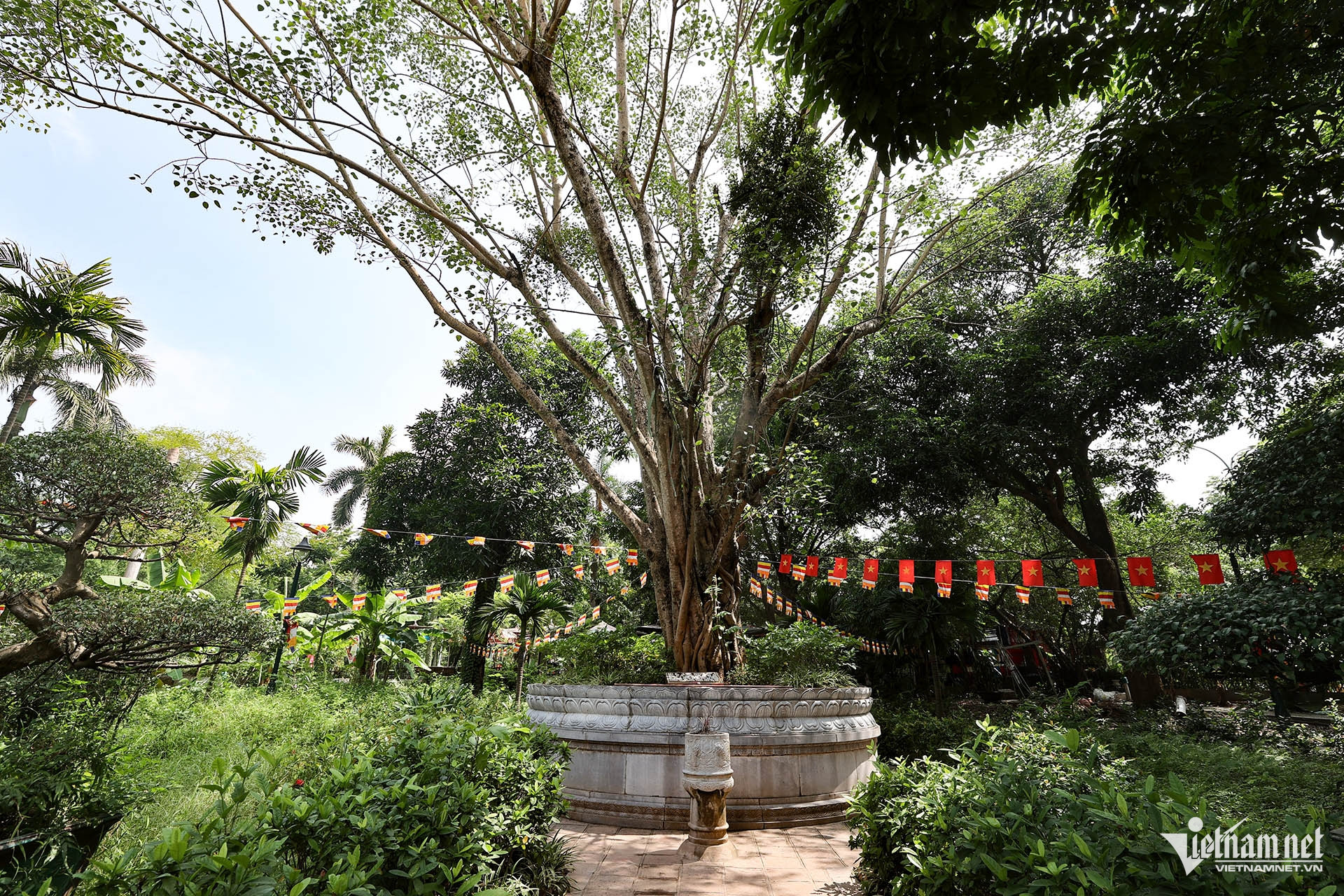 W-Chùa Một Cột 10.jpg