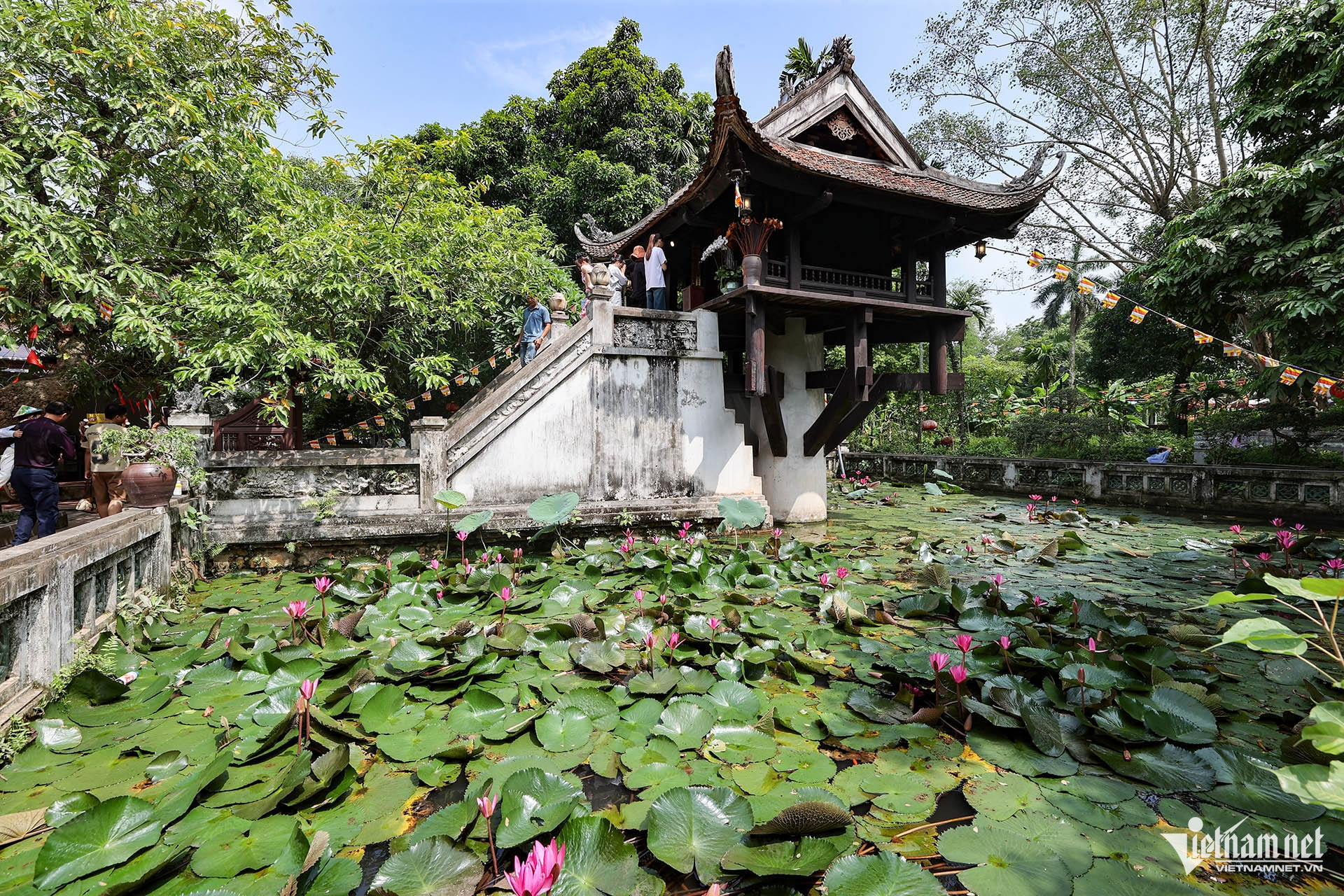 W-Chùa Một Cột 3.jpg