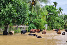 cong binh 25 (6).jpg