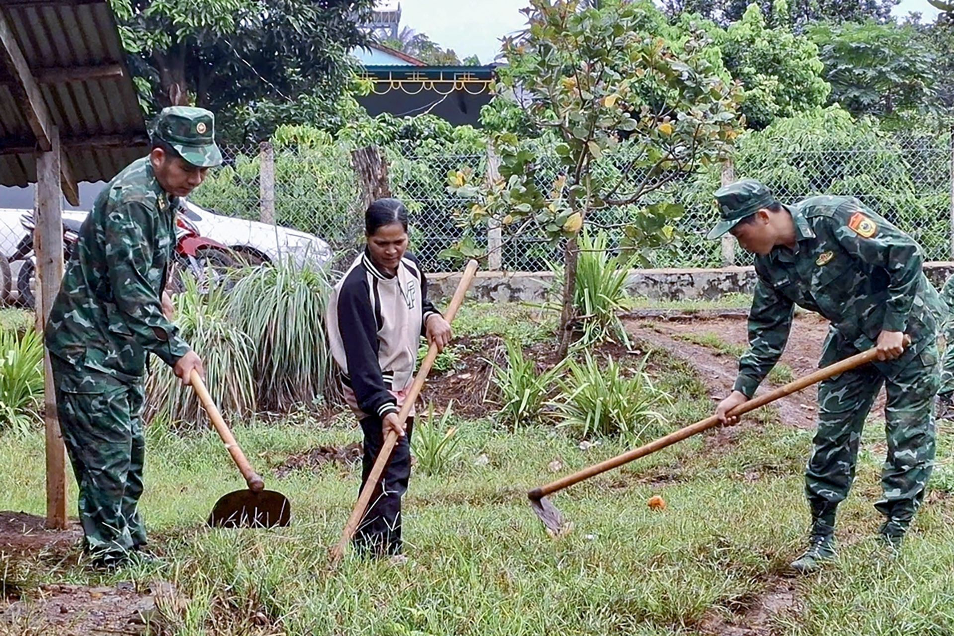 Điểm sáng từ mô hình 