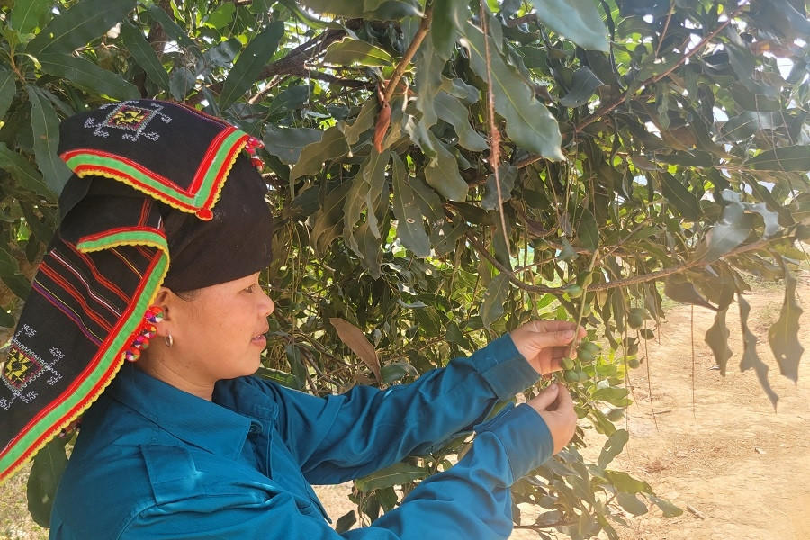 Tuyên Quang: Bứt phá chuyển đổi số, kiến tạo diện mạo nông thôn mới thông minh