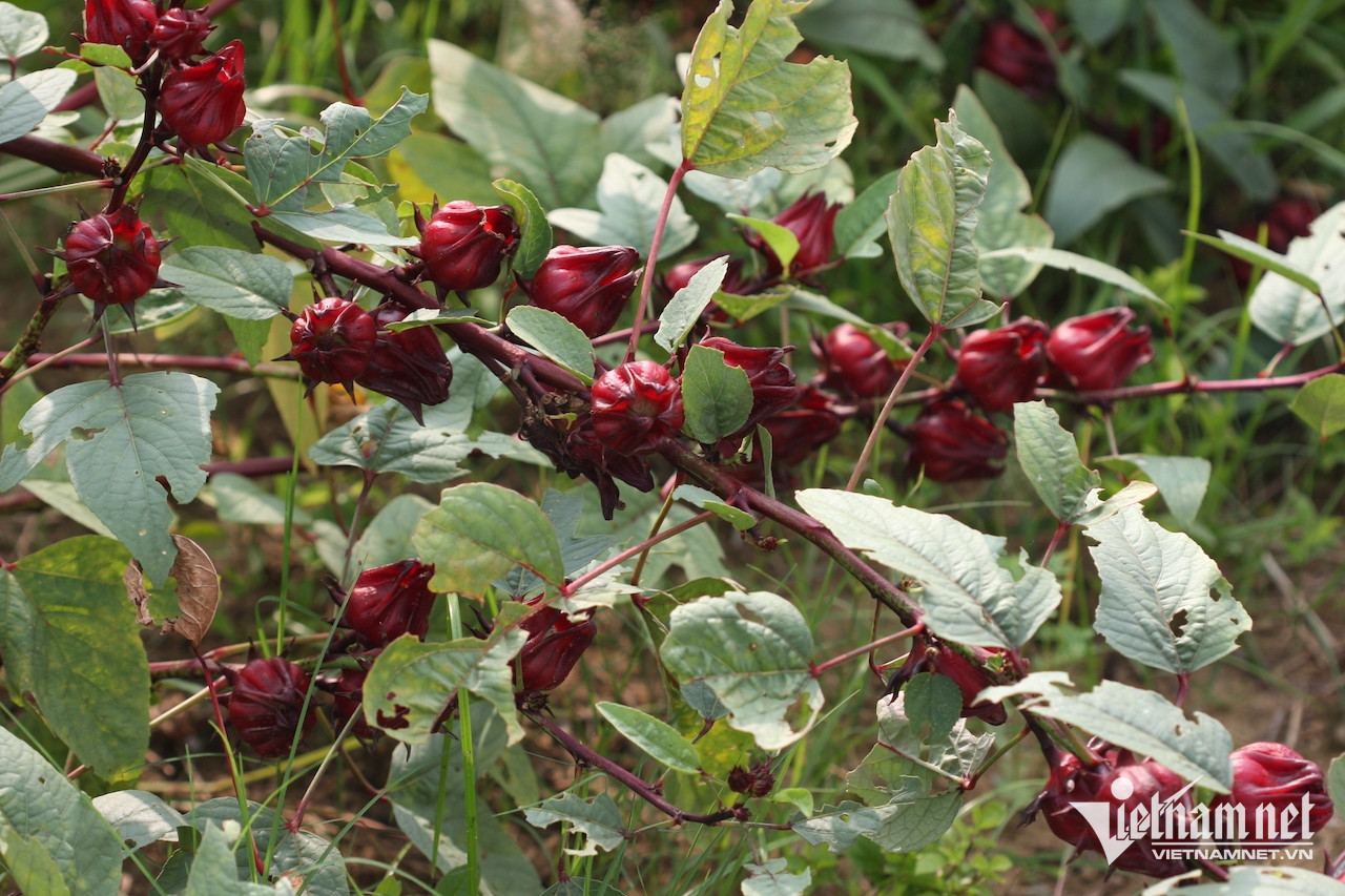 W-65861e28 d3a2 4219 b080 04fd706d850d.jpeg