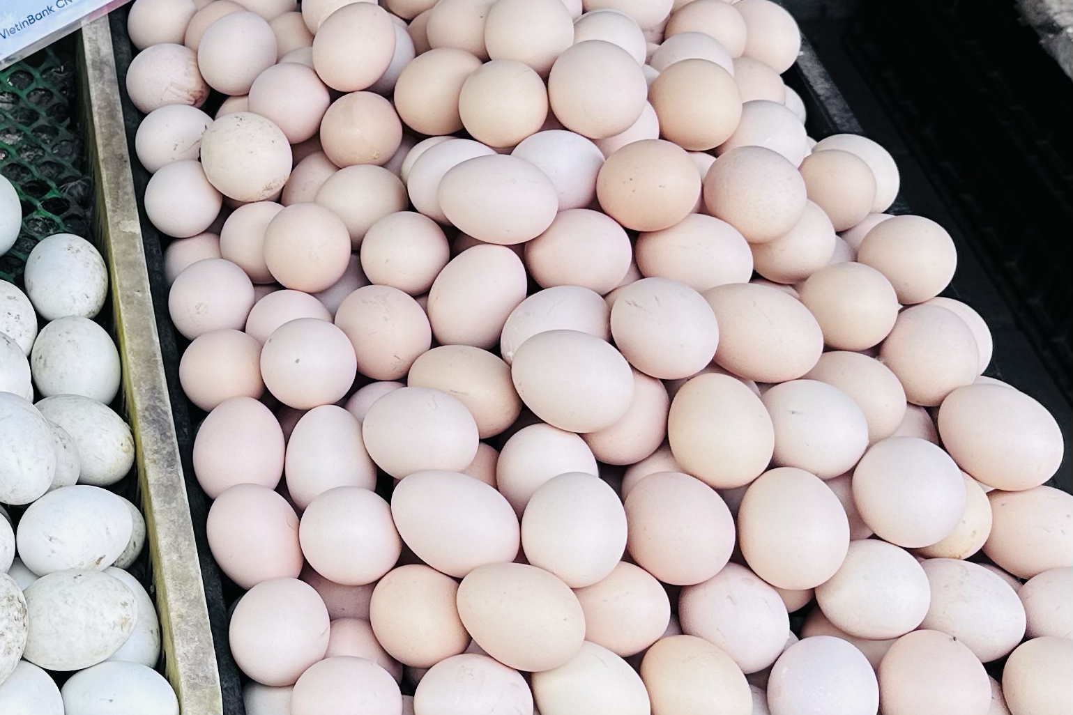 Bất chấp giá tăng mạnh, bà nội trợ vẫn chọn mua trứng gà vì một lý do