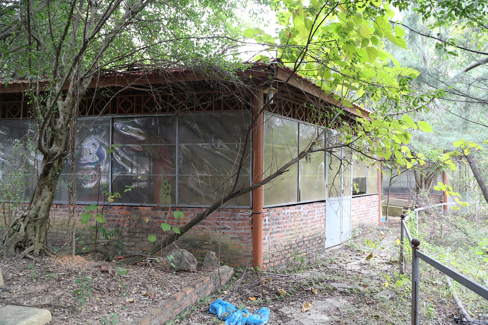 Bên trong công viên rộng 4,5ha bị lãng quên, người dân không dám cho trẻ vào