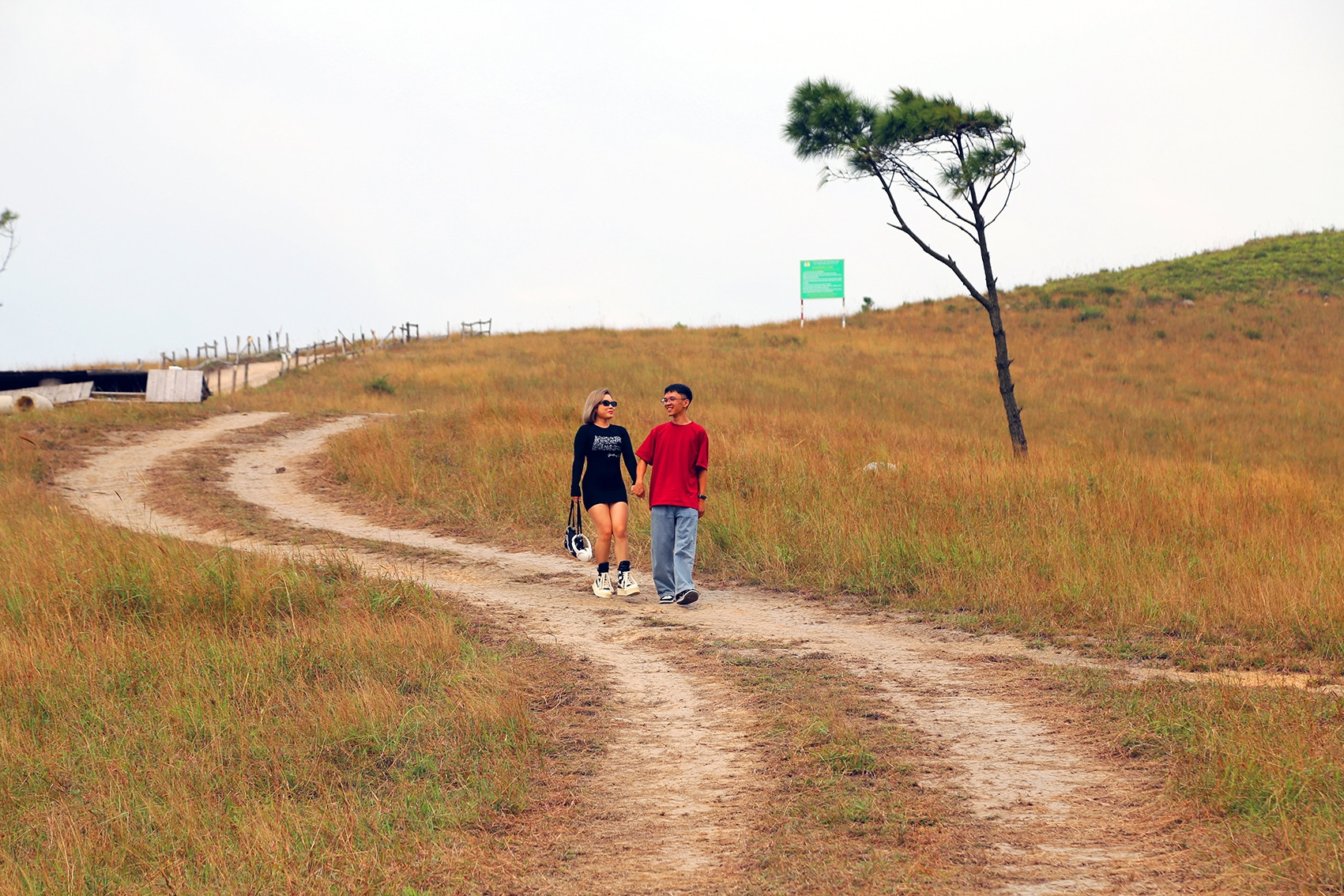 'Đà Lạt thu nhỏ’ ở Quảng Ninh vào mùa đẹp nhất năm, cỏ cháy vàng rực