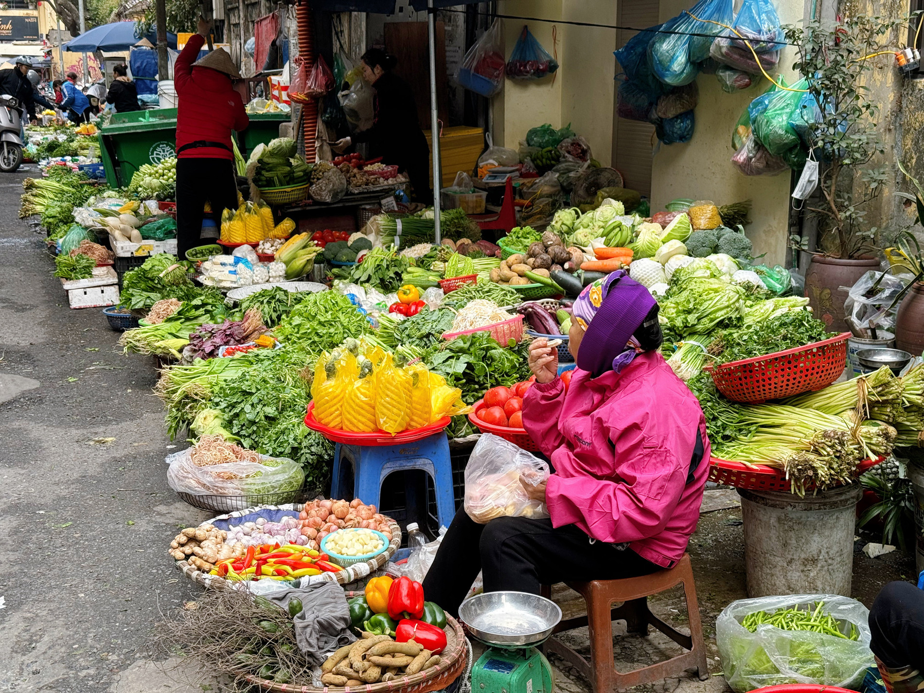 giá rau tăng 1.jpg