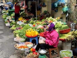 giá rau tăng 1.jpg