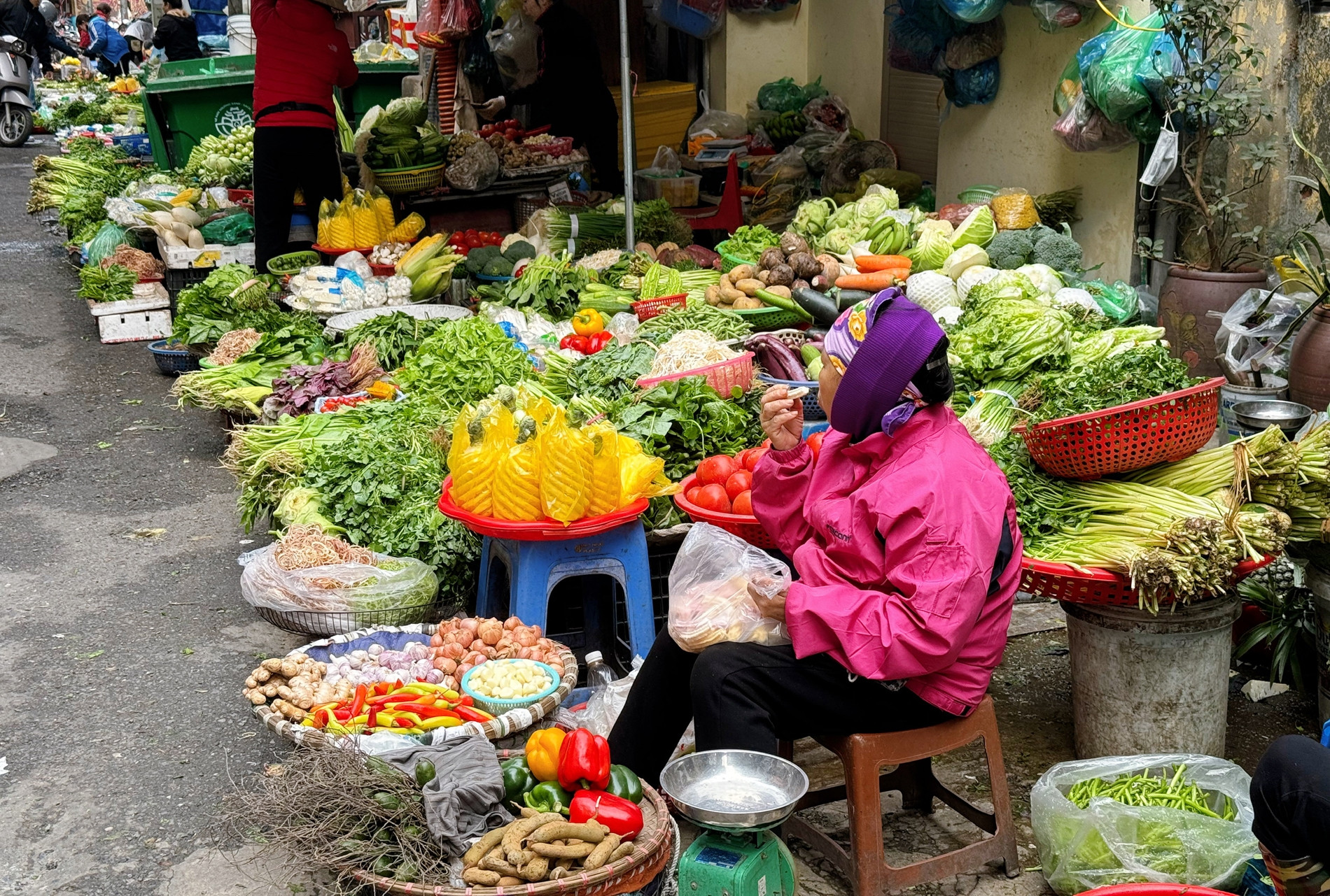 Rau tăng giá, người Hà Nội tự làm giá đỗ, rau mầm, thiết kế bữa ăn '3 món còn 2'