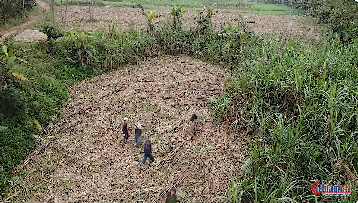 W-don dien doi thua.png