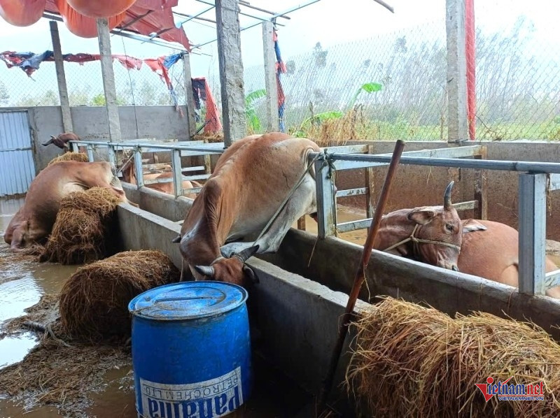 W-Khốn đốn sau lũ 5.jpg