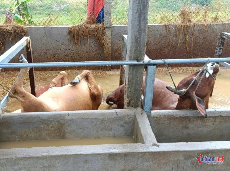 W-Khốn đốn sau lũ 6.jpg