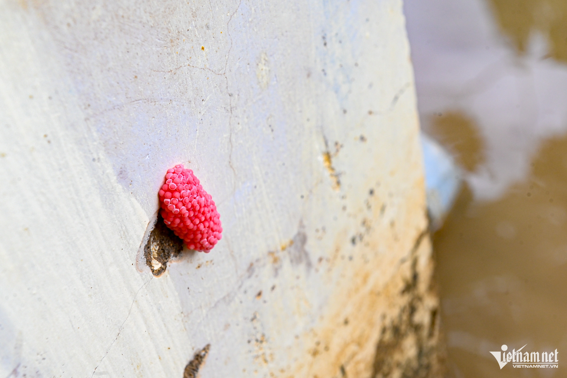 W-ngập lụt nha trang 6.jpg