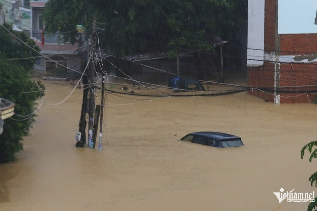 w z7243141305319 794adefff9d8136c3560dad199aeea45 1652.jpg