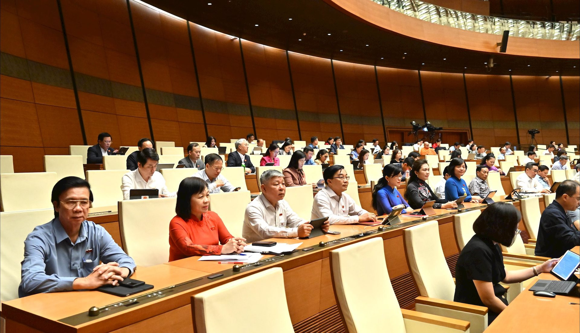 cac dai bieu tai phien hopvqk_4401.jpeg