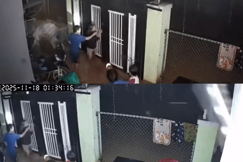 Clip hàng xóm gọi nhau ‘chạy lũ' giữa đêm khiến người xem nghẹn lòng