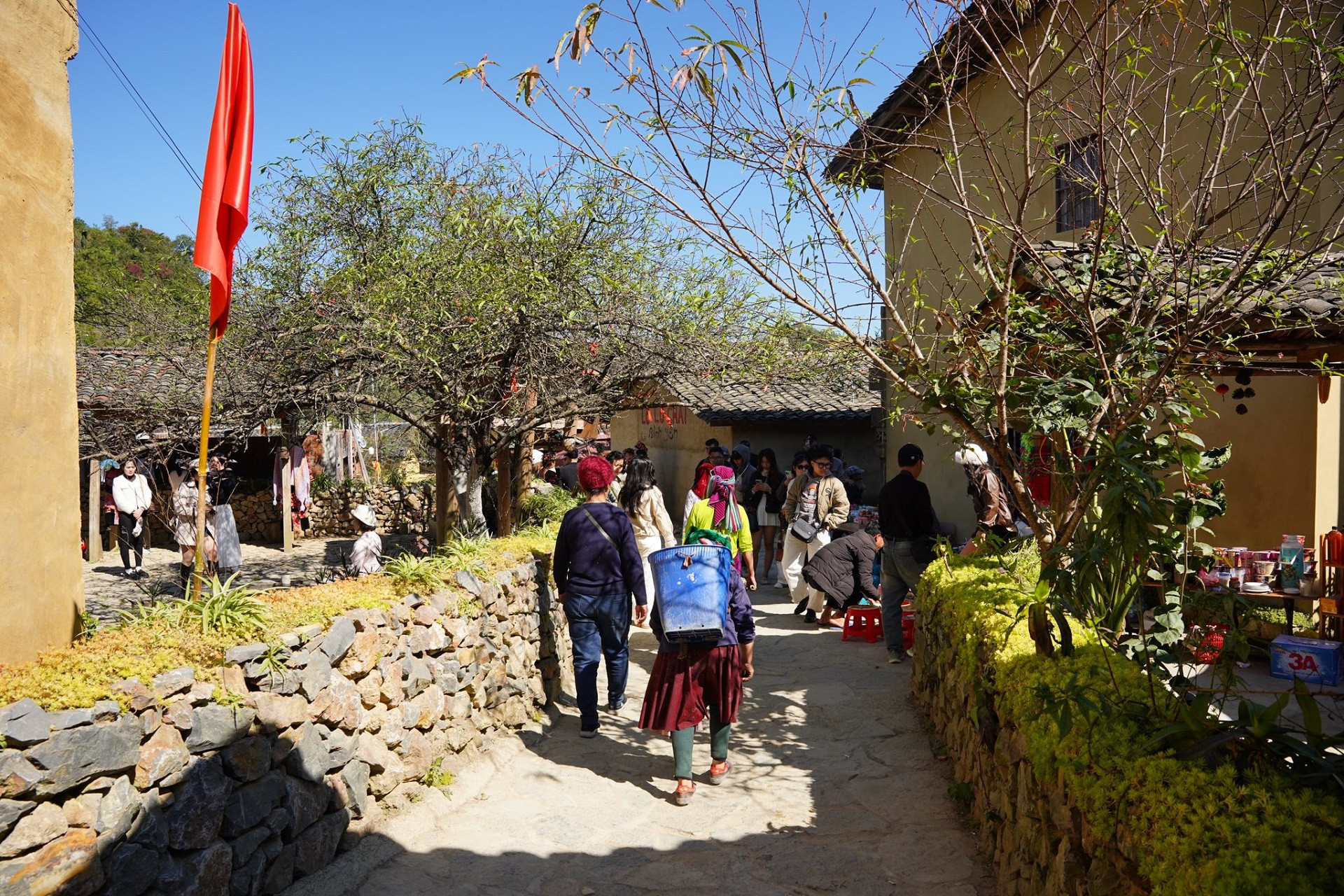 https://static-images.vnncdn.net/vps_images_publish/000001/000003/2025/11/23/du-lich-lo-lo-chai-ha-giang-1419.jpg