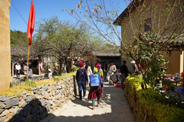 https://static-images.vnncdn.net/vps_images_publish/000001/000003/2025/11/23/du-lich-lo-lo-chai-ha-giang-1419.jpg