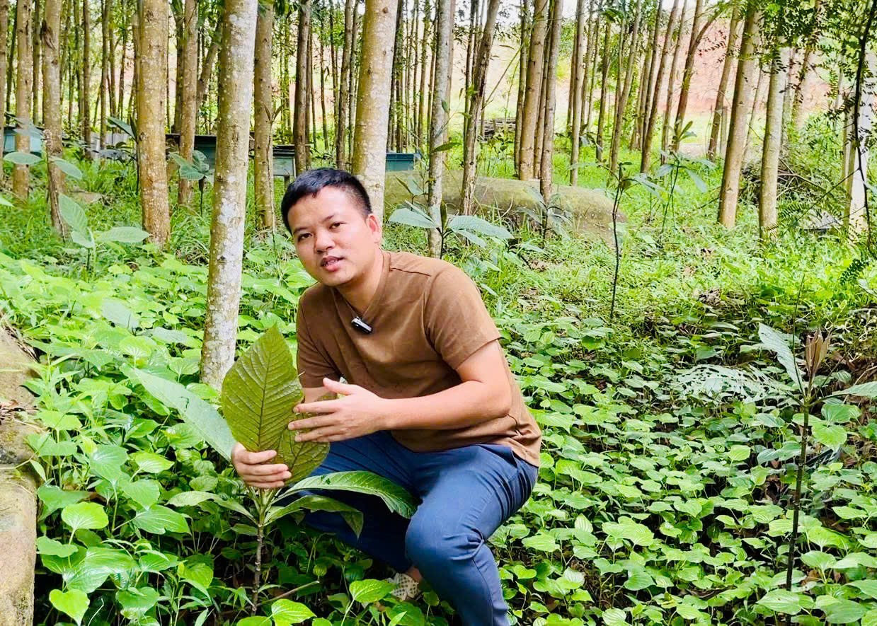 Hợp tác xã nông dược Tĩnh Sáng Đường cung cấp nguồn dược liệu phục vụ cho hoạt động khám chữa bệnh của Bác sĩ Lá Văn Khôi - Ảnh: T.H