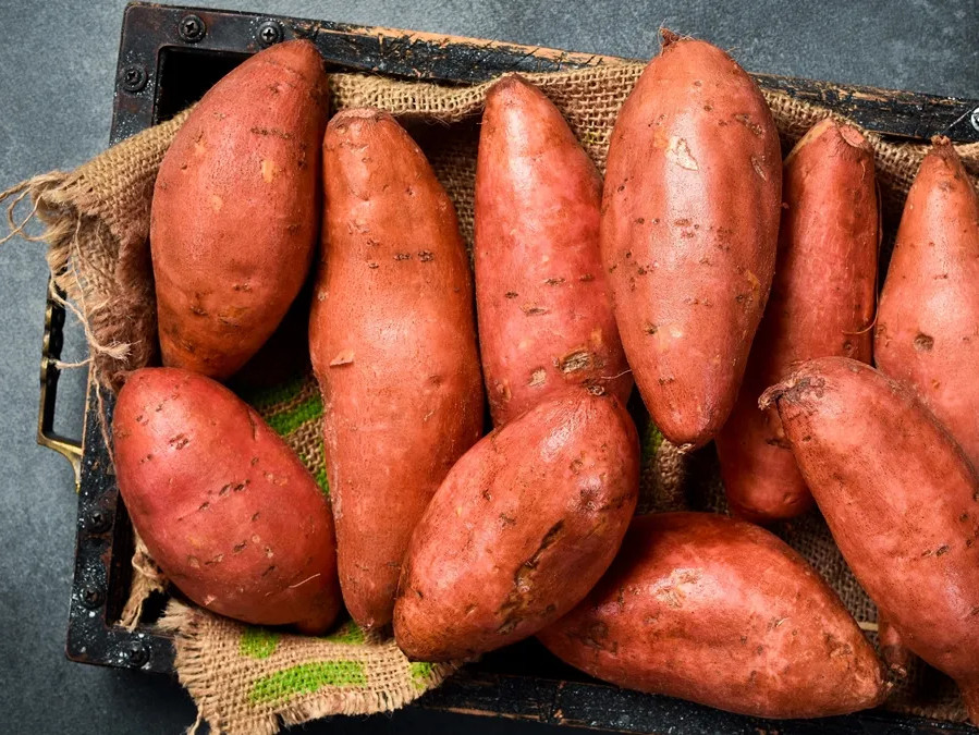 khoai lang 1a.jpg