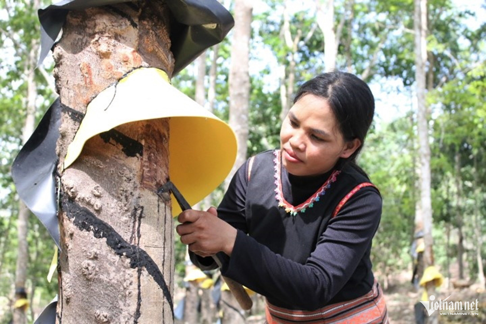 W-Binh đoàn 15   3.jpg