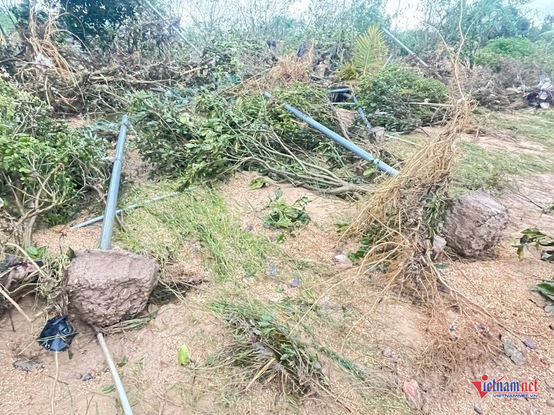 W-Hiện trường tan hoang 7.jpg